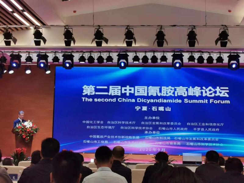 第二屆中國氰胺高峰論壇2020.9.21.jpg
